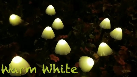 2700K IP55 Đèn dây LED năng lượng mặt trời / Đèn sân vườn năng lượng mặt trời nấm Trang trí lễ hội đám cưới