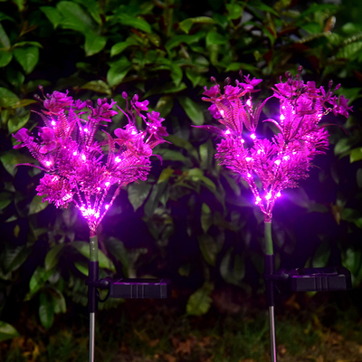 Phalaenopsis Đèn LED năng lượng mặt trời Đèn sân vườn Hoa dại nhỏ Cảnh quan sân vườn Ánh sáng bãi cỏ